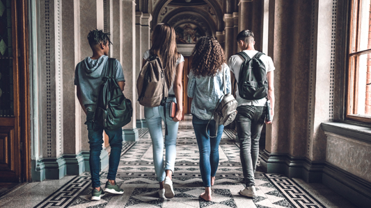 Risk Management Series 2- Treating the College Student: Risk Considerations for Behavioral Health Professionals